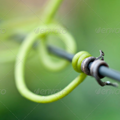 网页攻击器